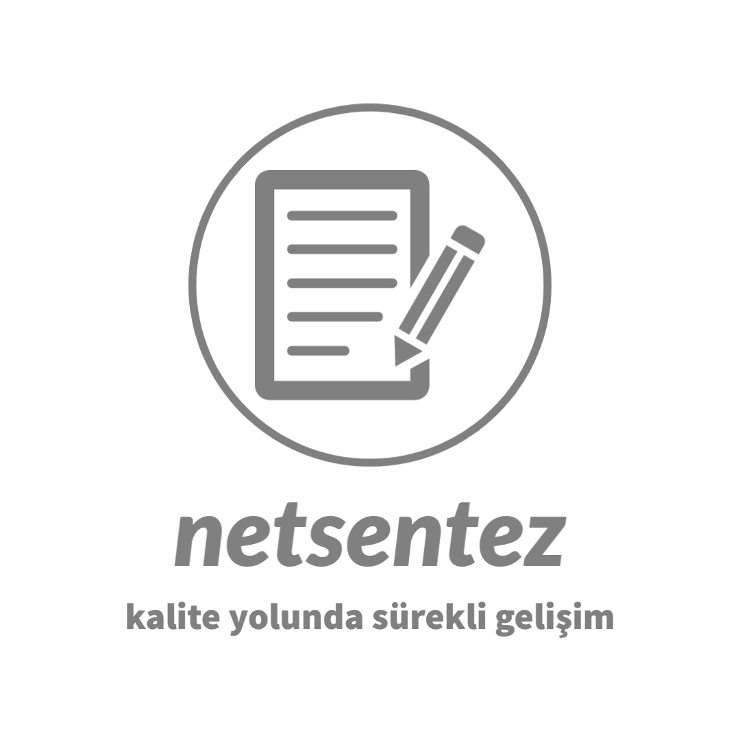 netsentez netsentez logosu